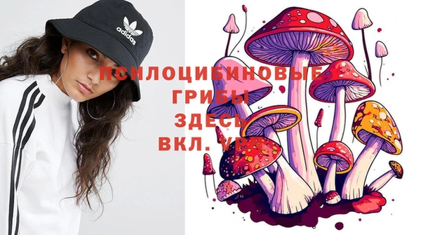 МДПВ Алексин