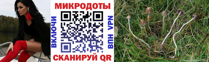 Галлюциногенные грибы MAGIC MUSHROOMS  mega tor  Ефремов  цены  