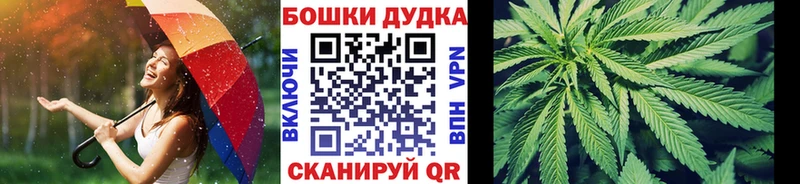где продают наркотики  omg маркетплейс  Бошки марихуана ГИДРОПОН  Ефремов 
